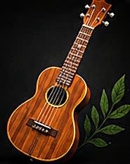 Ukulele Kursu